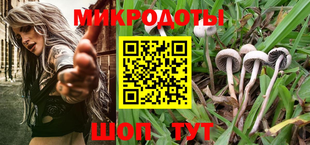 Псилоцибиновые грибы Psilocybine cubensis Волгоград