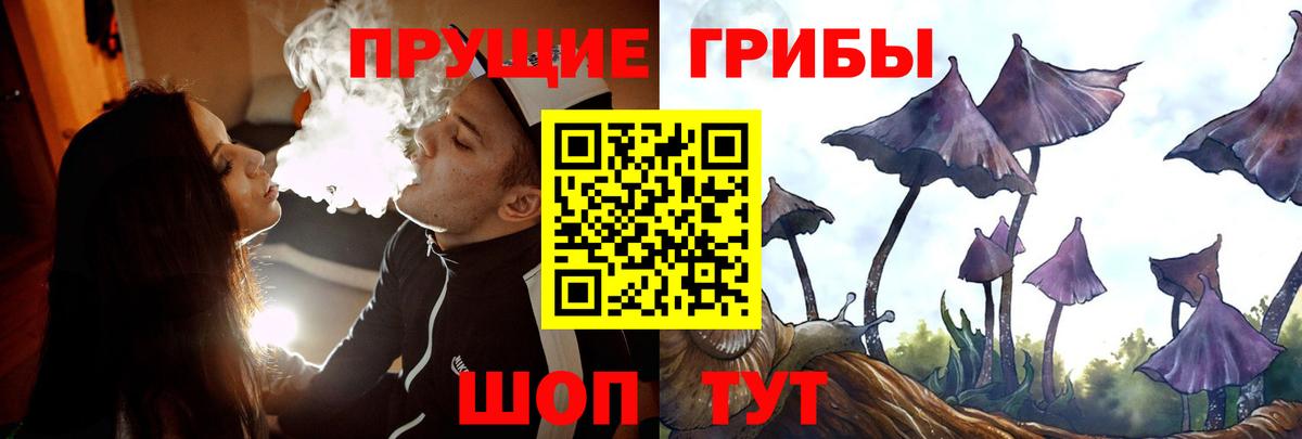 Псилоцибиновые грибы мицелий  Вход с VPN  Псилоцибиновые грибы Magic Shrooms  Волгоград 